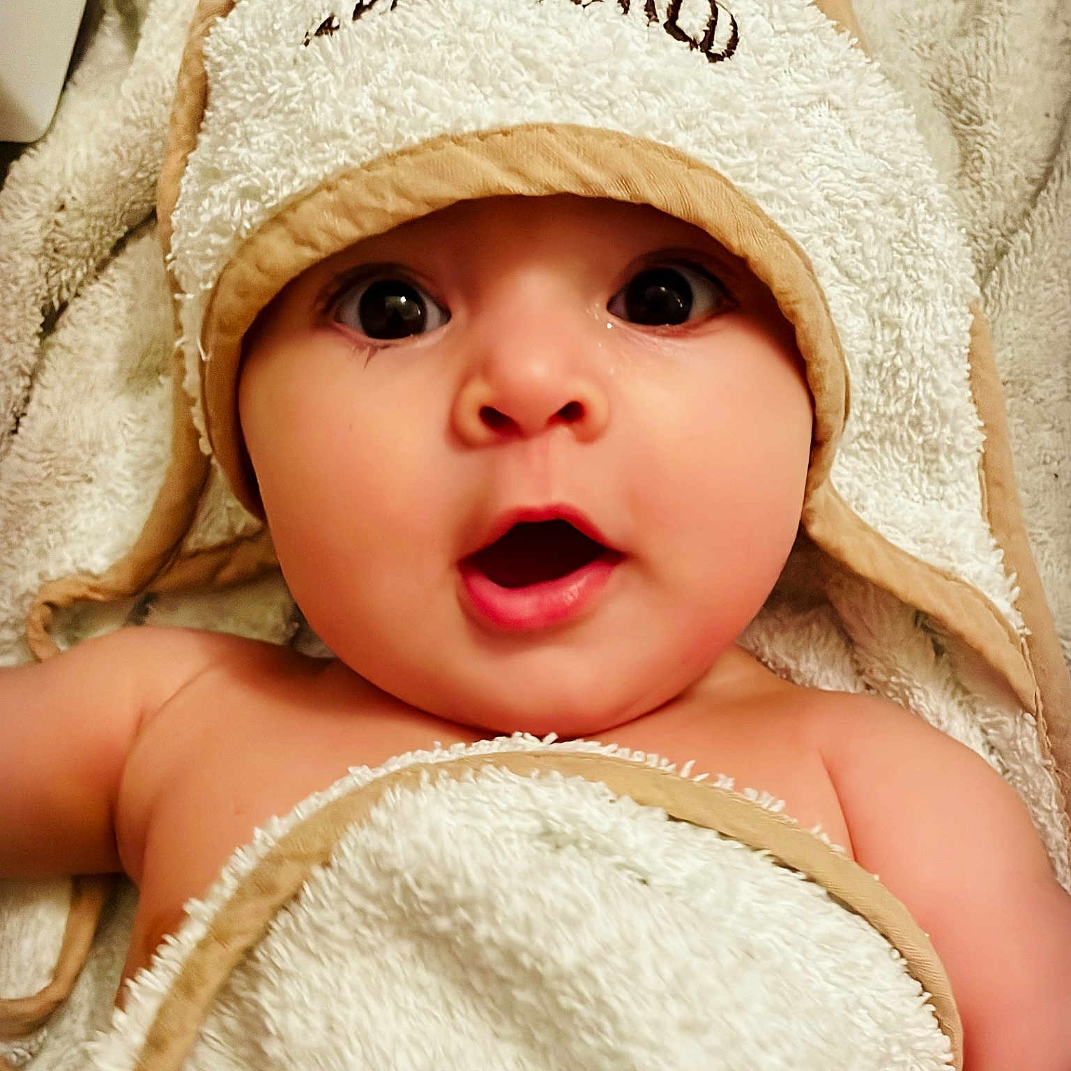 Julia participe au concours pour gagner de l'argent avec cette photo : baby, bathtowel, beanie, blanket, bodypart, bonnet, cap, clothing, face, finger, hand, hat, head, hood, newborn, person, photography, portrait, quilt, towel