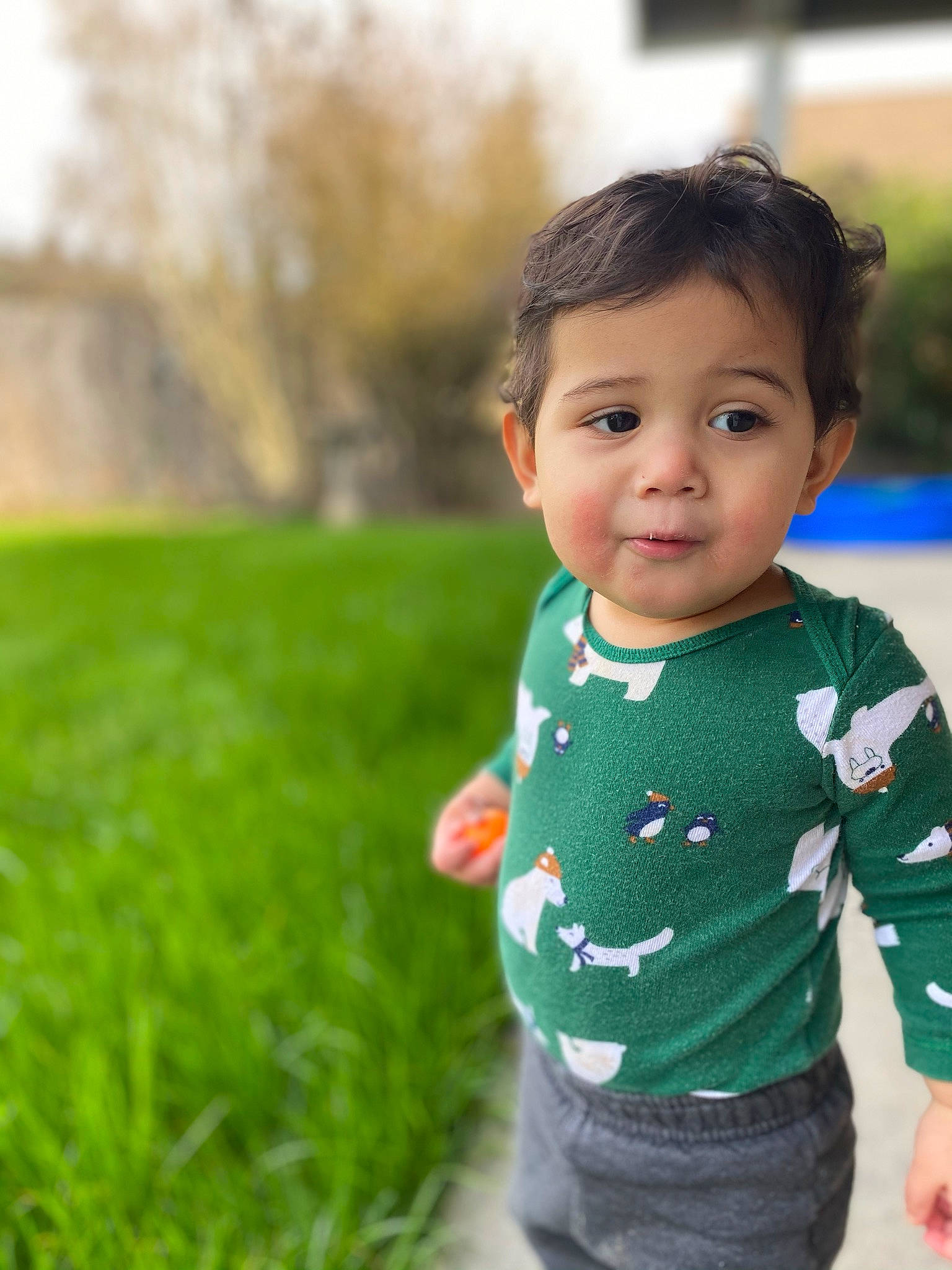 Bryan joined the competition — help win amazing prizes! baby, baby_toddler_clothing, eye, face, fun, grass, grass_family, grassland, happy, lawn, leaf, leisure, people_in_nature, person, plant, sitting, skin, sleeve, spring, toddler