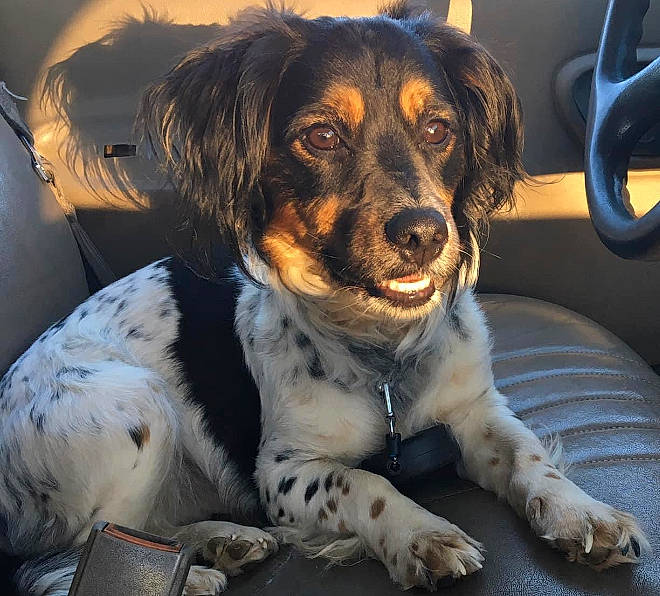 Freddy Dboy From Da Block