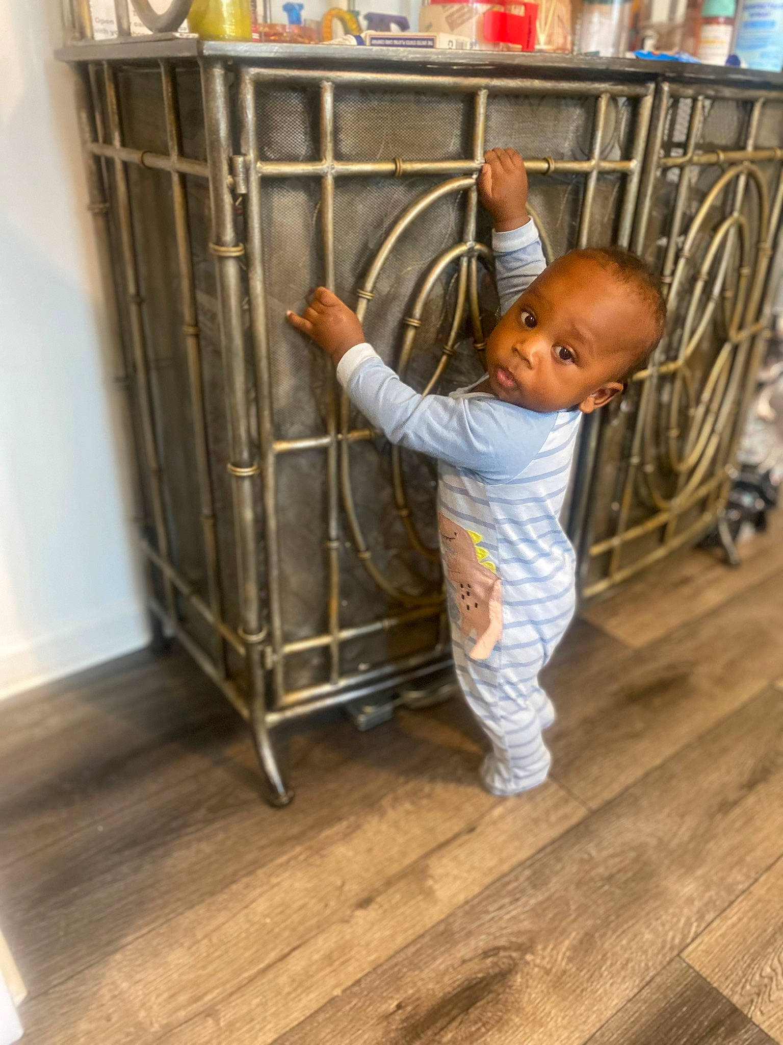 Arian joined the competition — help win amazing prizes! baby_products, baby_safety, baby_toddler_clothing, cart, child, floor, flooring, fun, hardwood, laminate_flooring, person, plank, play, room, shelf, shelving, toddler, varnish, wood, wood_flooring
