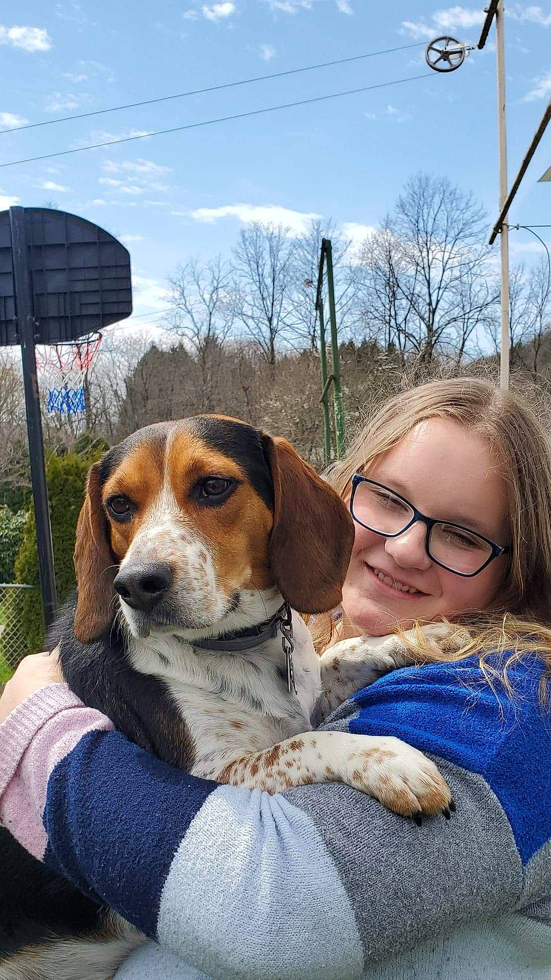 Thunder joined the competition — help win amazing prizes! american_foxhound, beagle, beagle_harrier, beaglier, canidae, carnivore, companion_dog, dog, dog_breed, drever, english_coonhound, english_foxhound, estonian_hound, finnish_hound, hamiltonstovare, harrier, mammal, pocket_beagle, treeing_walker_coonhound, vertebrate