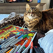 Baby Kitty joined the competition — help win amazing prizes! cat, tabby_cat, sharpie_markers, coloring_book, dog_illustration, blanket, remote_control, television, furniture, indoor, cozy, pet, fur, bed, art_supplies, relaxing, closeup, living_room, household, couch