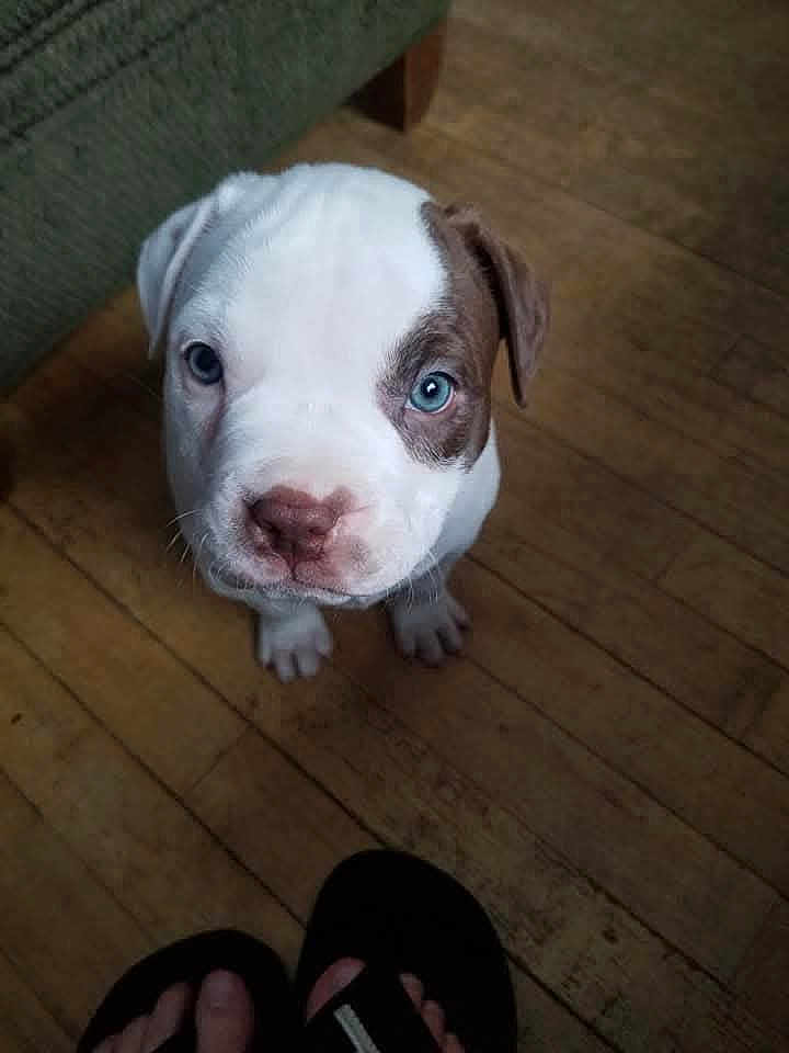 Kingston