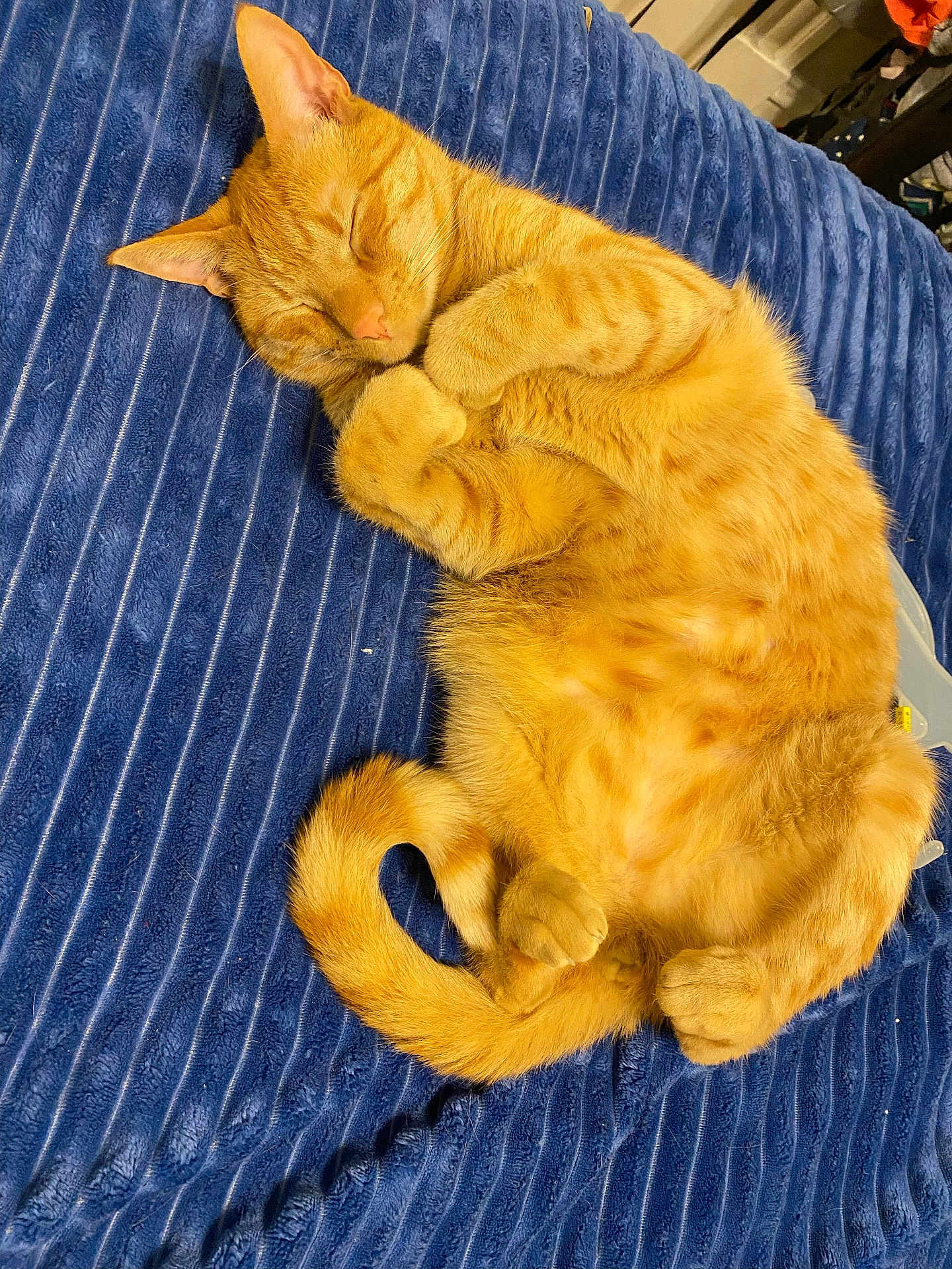 Milo