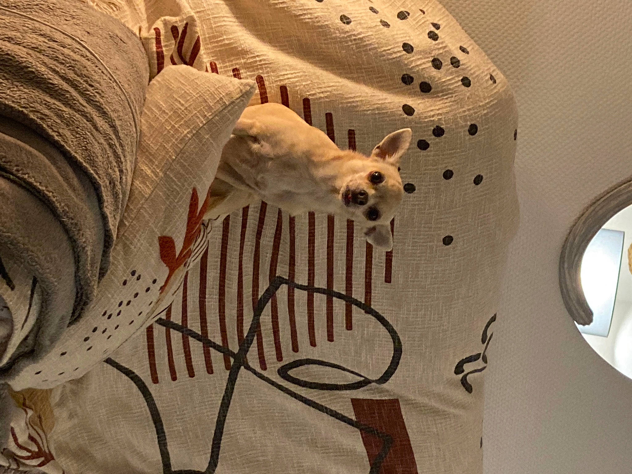 Maya participe au concours pour gagner de l'argent avec cette photo : aeolian_landform, art, carving, ceiling, circle, dune, erg, flooring, landscape, linens, metal, paper, pattern, plaster, room, sculpture, shadow, visual_arts, wood