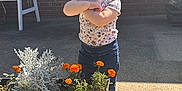 Adalynn joined the competition — help win amazing prizes! toddler, child, flower_planter, orange_flowers, plant, outdoor, sunlight, brick_wall, window, concrete, jeans, shirt, person, young_child, arms_crossed, shadow, garden, casual_clothing, daytime, smiling