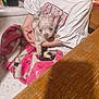 puppy, child, blanket, indoor, table, wood, shirt, pink, white, sitting, holding, cute, animal, pet, young, small, cozy, floor, home, casual