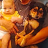 Sparky is registered to the contest to win money with this photo: adult, arms, baby, blurry, brown_dog, dog, dog_face, family, hands, holding, home, human_face, indoor, infant, person, photograph, portrait, sitting, small_dog, yellow_clothing