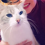 Tim participe au concours pour gagner de l'argent avec cette photo : animal, blue_eyes, cat, close_up, cozy, cute, domestic_animal, face, feline, gray_fur, hand, holding, indoor, person, pet, portrait, smile, turtleneck, whiskers, white_fur