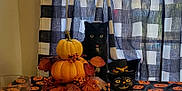 Whiskey is registered to the contest to win money with this photo: black_cat, pumpkins, halloween, tablecloth, decorations, figurine, window, curtains, indoor, festive, orange, black, tongue_out, holiday, autumn, berries, leaves, glass_bowl, candy, stacked_pumpkins