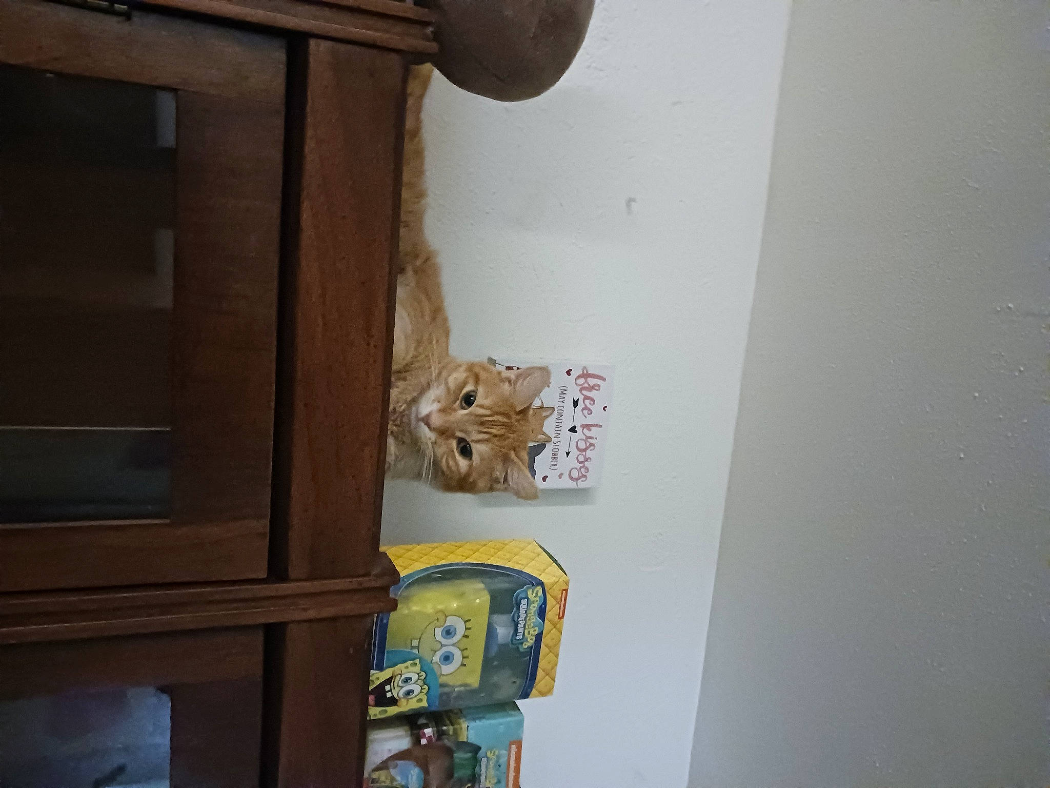 Jordan joined the competition — help win amazing prizes! art, brown, cabinetry, gas, hardwood, molding, plywood, room, shelf, shelving, varnish, visual_arts, wood, wood_stain