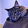 Punk