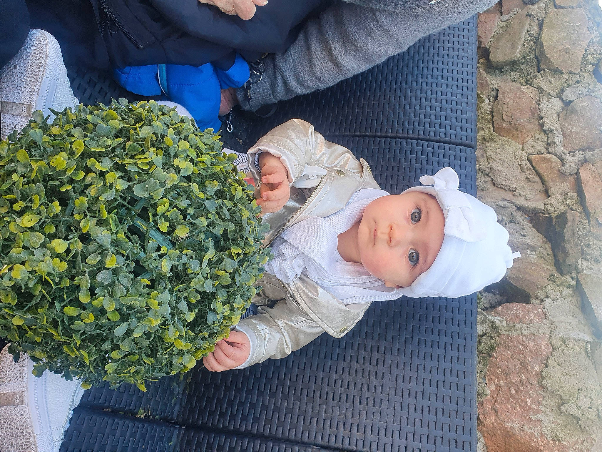 Lùna participe au concours pour gagner de l'argent avec cette photo : annual_plant, baby, baby_toddler_clothing, child, comfort, flower, flower_arranging, grass, green, groundcover, headwear, lap, leaf, person, petal, plant, rose, shrub, sitting, toddler