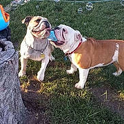 Lilley May And Mia Jane joined the competition — help win amazing prizes!