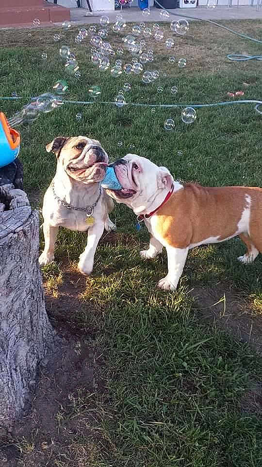 Lilley May And Mia Jane