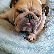 Marely joined the competition — help win amazing prizes!