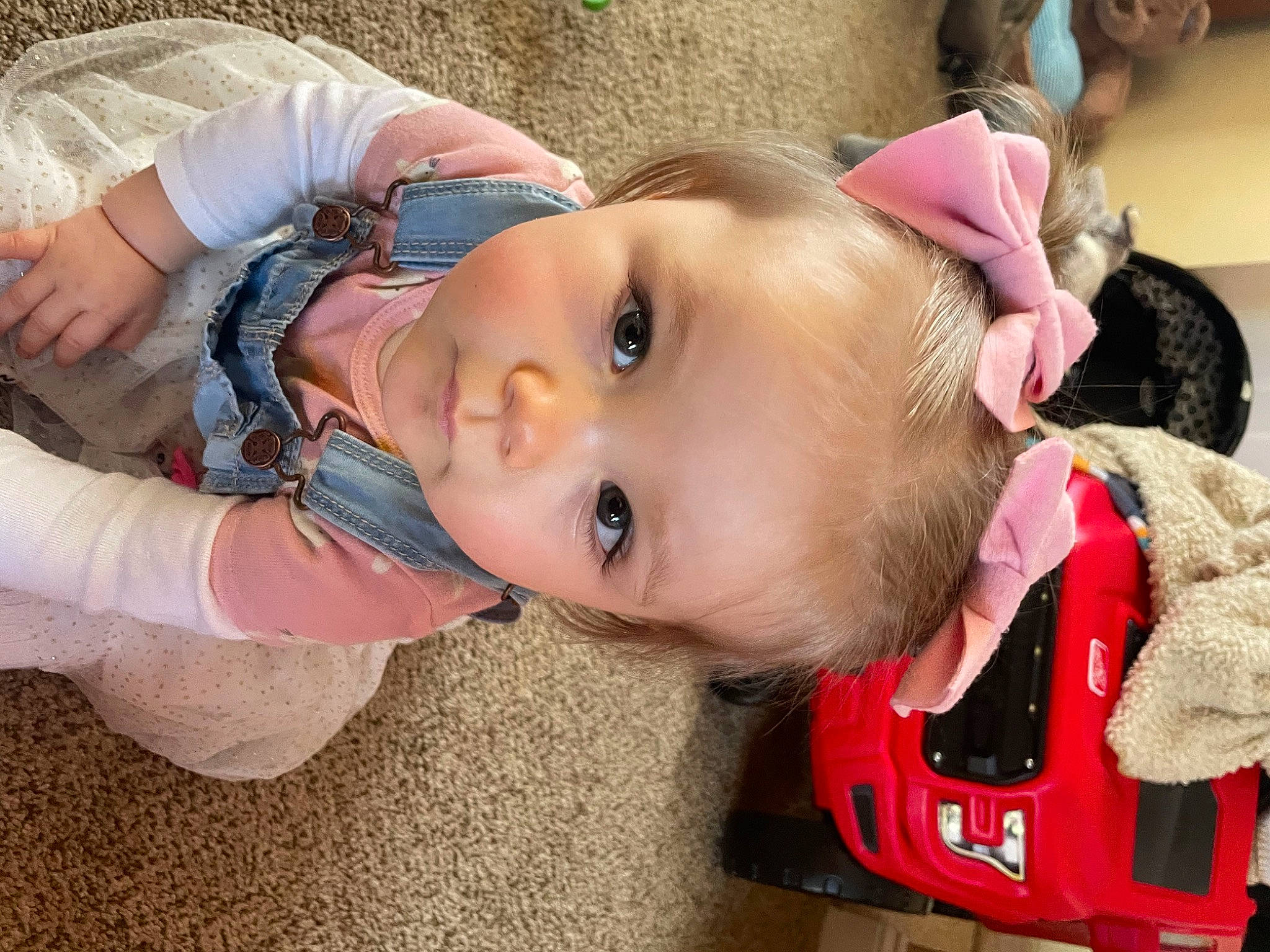 Giovanna is registered to the contest to win money with this photo: baby, baby_products, baby_toddler_clothing, cheek, child, chin, clothing, eyelash, fun, grass, happy, hat, headgear, iris, lip, mouth, nose, person, sitting, skin