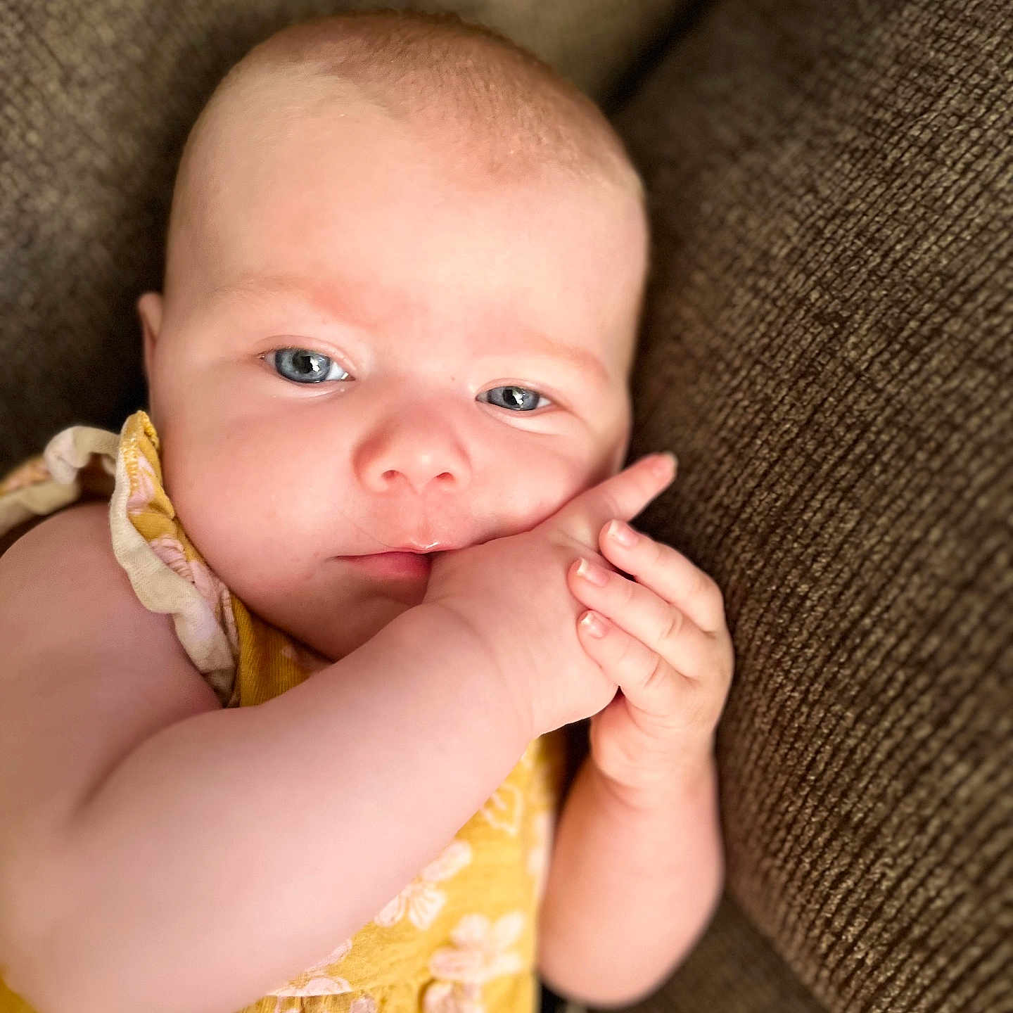 Artis joined the competition — help win amazing prizes! arm, baby, biting, bodypart, couch, cushion, face, finger, furniture, hand, happy, head, homedecor, newborn, person, photography, portrait, sitting, sleeping, smile
