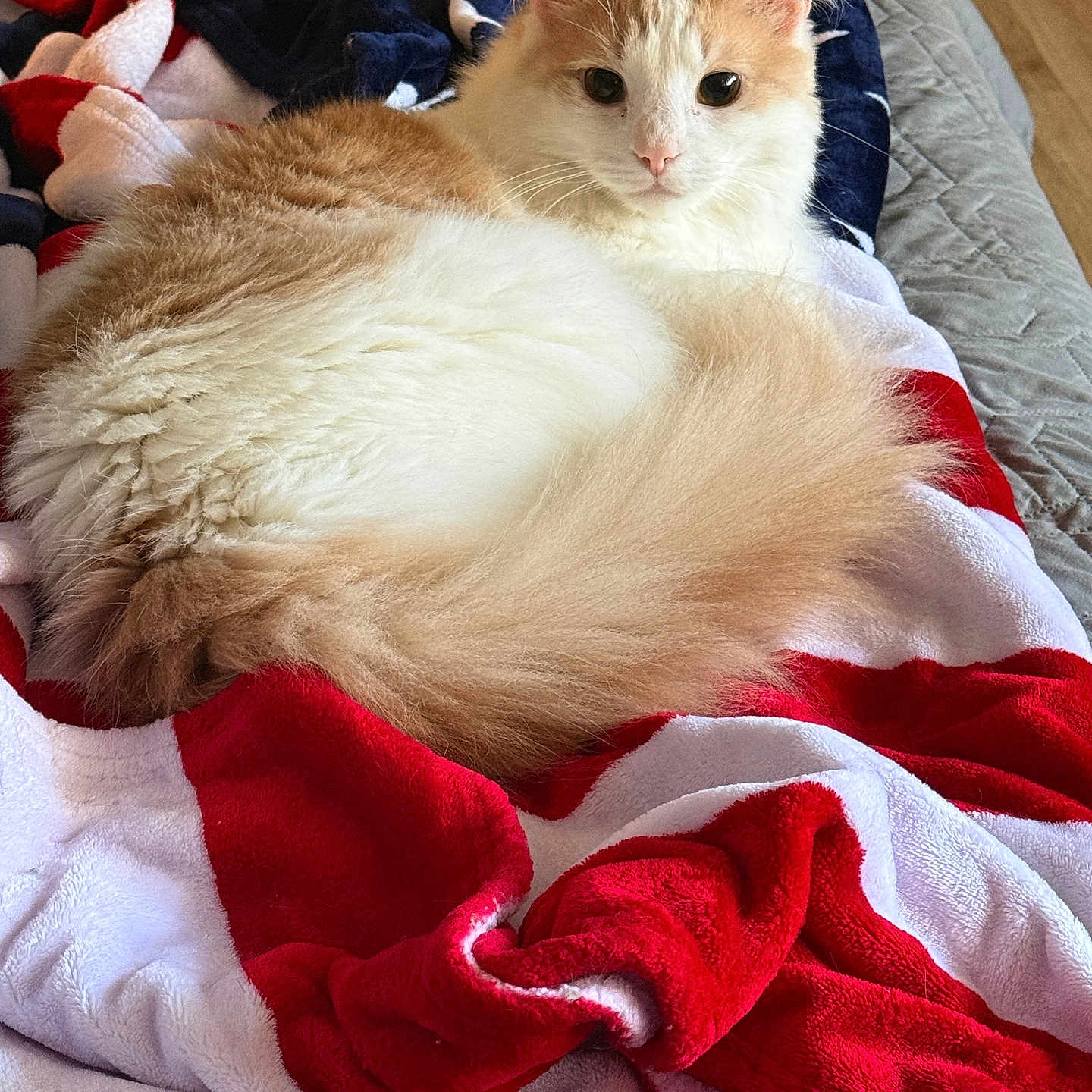 Leo