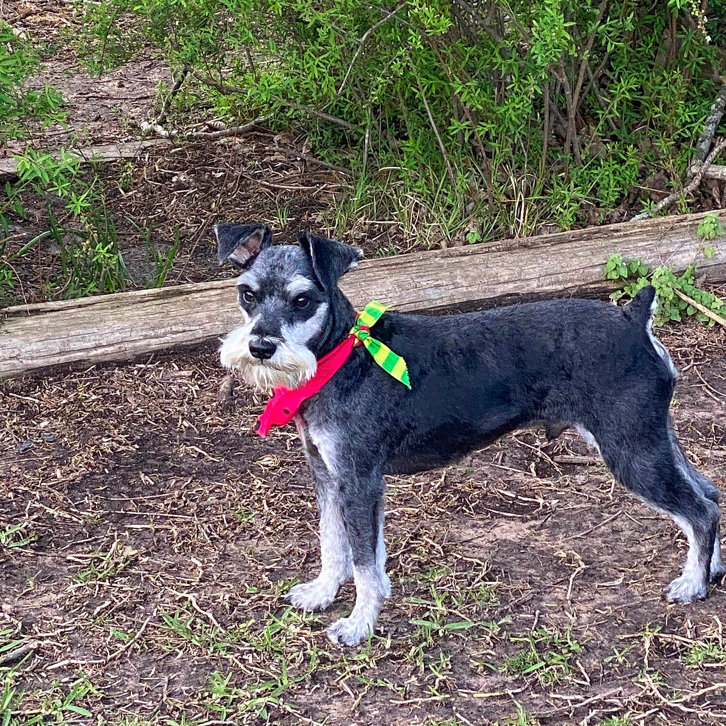 Baxter