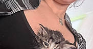 Oscar is registered to the contest to win money with this photo: kitten, cat, woman, person, portrait, selfie, glasses, eyewear, clothing, black_shirt, plaid, jacket, necklace, indoor, closeup, furry, fluffy, gray_cat, pet, cuddling