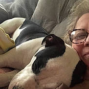 Tino joined the competition — help win amazing prizes! black_and_white, canine, casual, close_up, comfort, companion, couch, cozy, dog, face, furniture, glasses, home, indoor, person, pet, portrait, relaxing, resting, snuggling