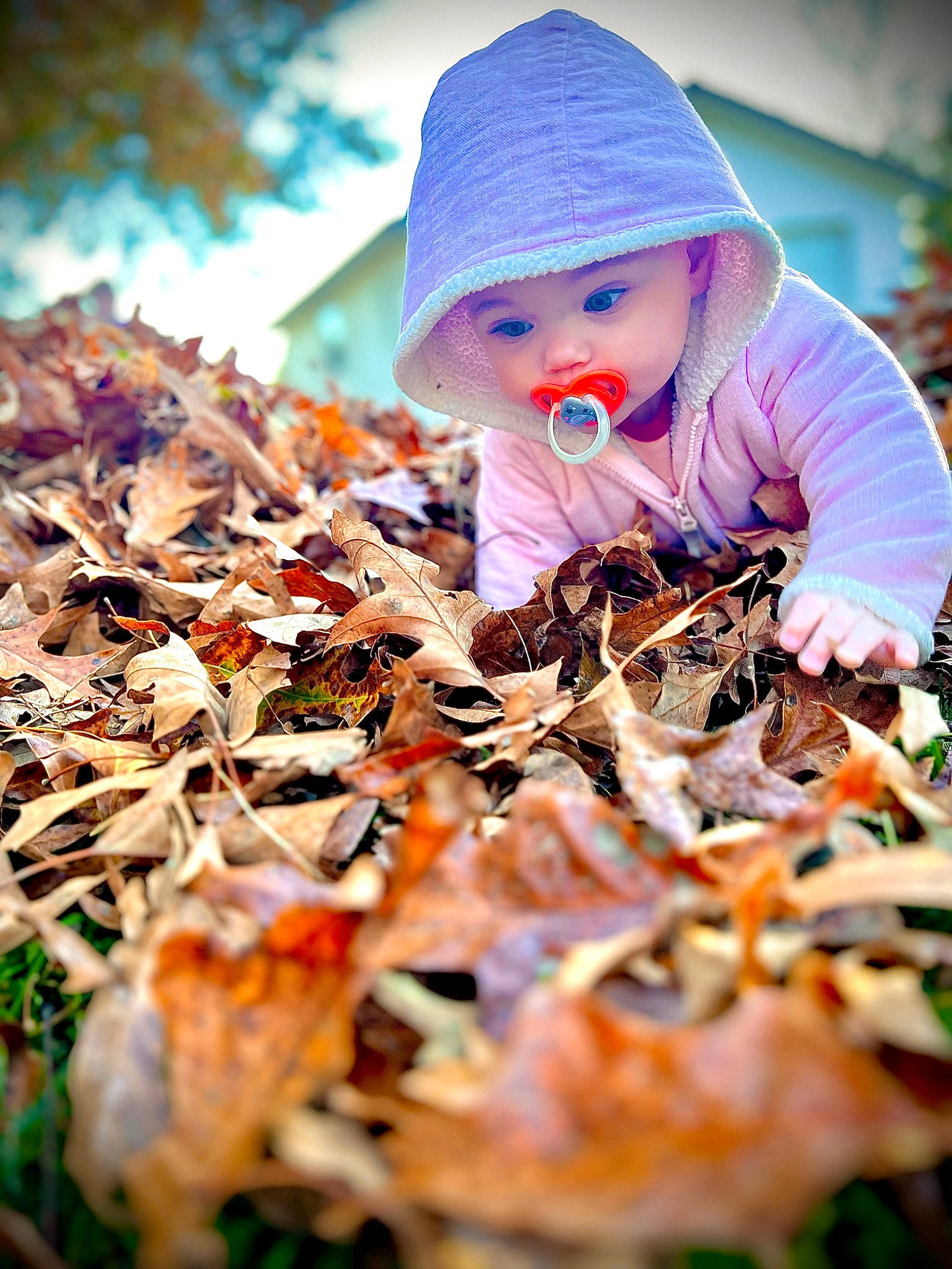 Eden is registered to the contest to win money with this photo: beanie, cap, child, deciduous, doll, eye, grass, happy, head, headgear, headwear, knit_cap, leaf, orange, people_in_nature, person, plant, toddler, toy, tree