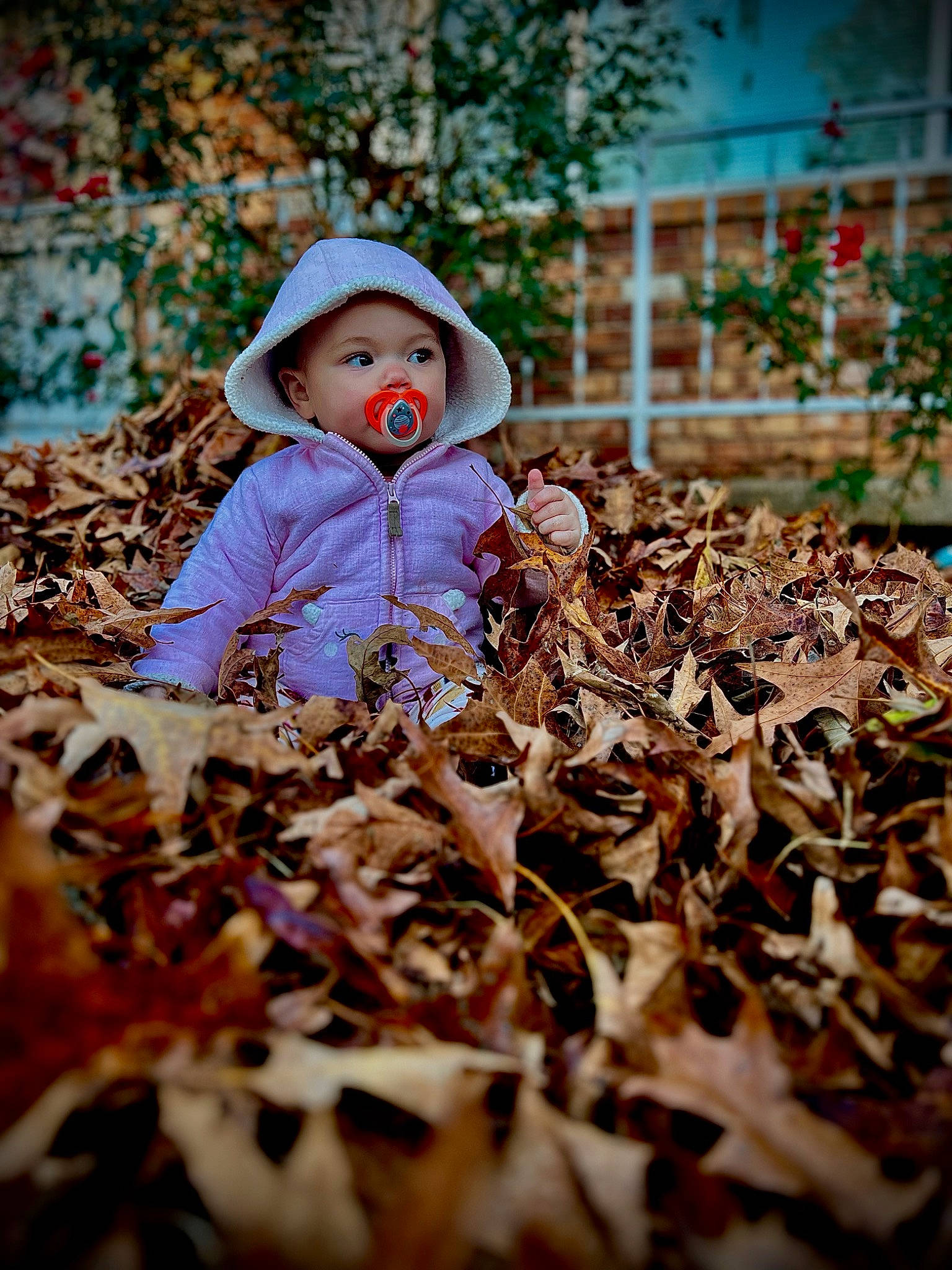 Eden joined the competition — help win amazing prizes! baby, deciduous, doll, dress, grass, happy, hat, headgear, headwear, mammal, people_in_nature, person, plant, soil, sunlight, toddler, toy, tree, twig, vertebrate