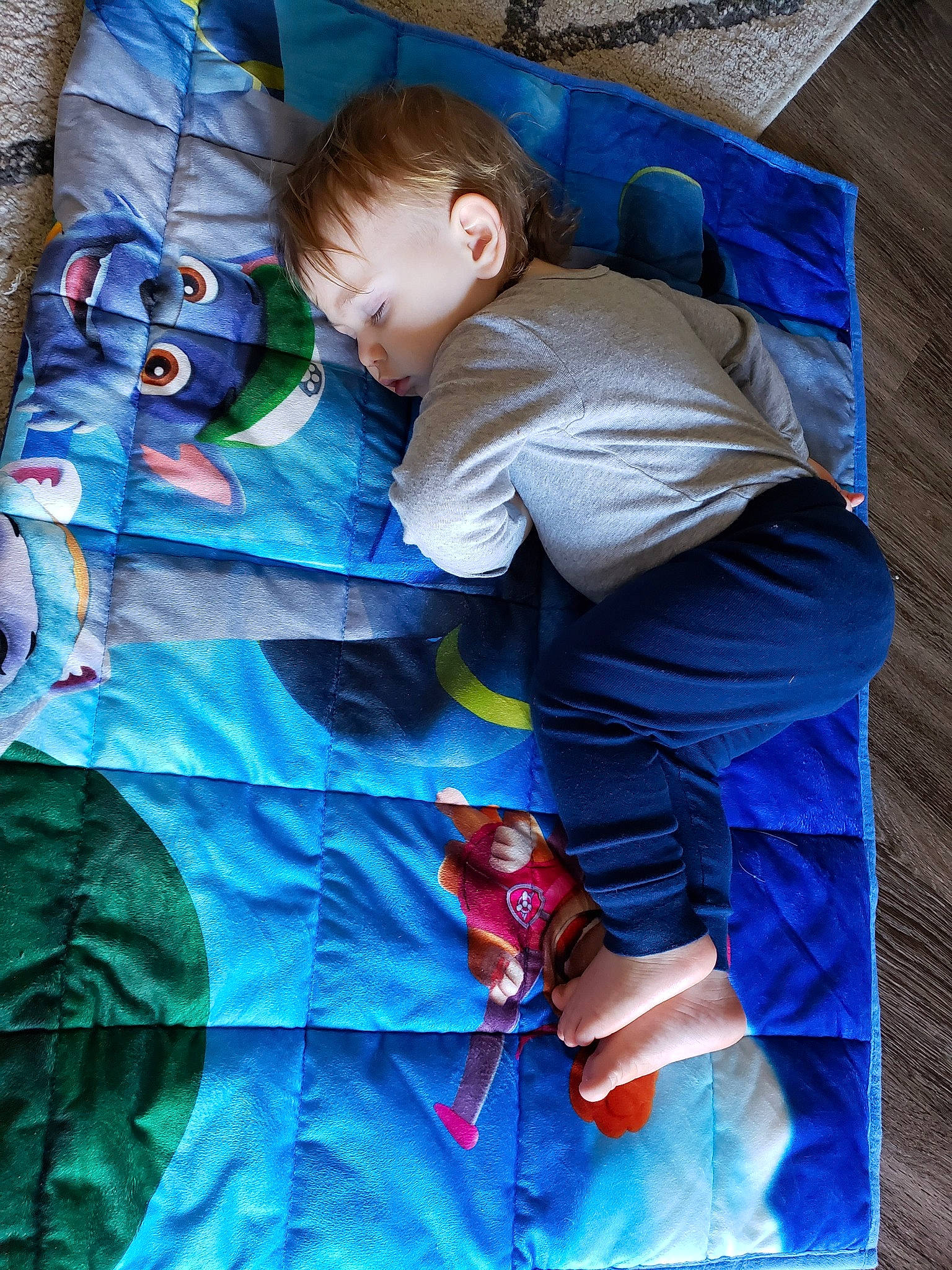 Orion is registered to the contest to win money with this photo: baby, blue, child, nap, people, person, sleep, textile, toddler