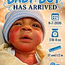 baby, newborn, boy, blanket, hat, face, portrait, rosy_cheeks, wrapped, announcement, text_overlay, blue, yellow, infant, cute, newborn_baby, birth, announcement_card, clothing, headwear