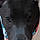 Zoey Blu