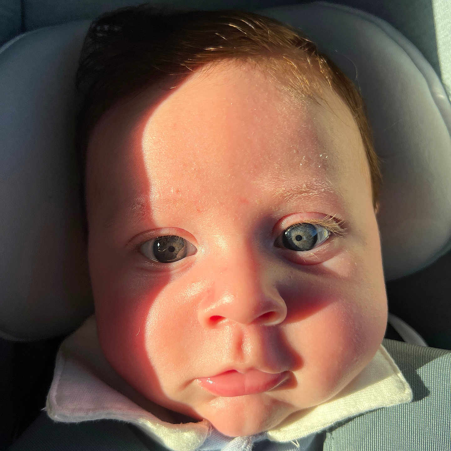Logan joined the competition — help win amazing prizes! baby, face, child, car_seat, sunlight, shadow, blue_eyes, close_up, portrait, infant, seat_belt, clothing, cute, skin, head_support, young_child, indoors, seat, person, expression