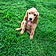 Athos