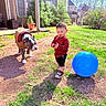 Vinny is registered to the contest to win money with this photo: toddler, dog, blue_ball, grass, backyard, sunny, house, tree, shrubbery, clothing, jacket, shorts, shirt, footwear, toy, daylight, pet, young_child, outdoor, nature