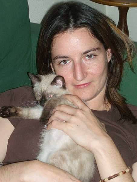 Daobel a rejoint le concours — aidez-le/la à gagner de superbes lots ! asian, balinese, birman, carnivore, cat, felidae, himalayan, javanese, kitten, oriental_longhair, ragdoll, siamese, siberian, small_to_medium_sized_cats, snowshoe, thai, tonkinese, whiskers