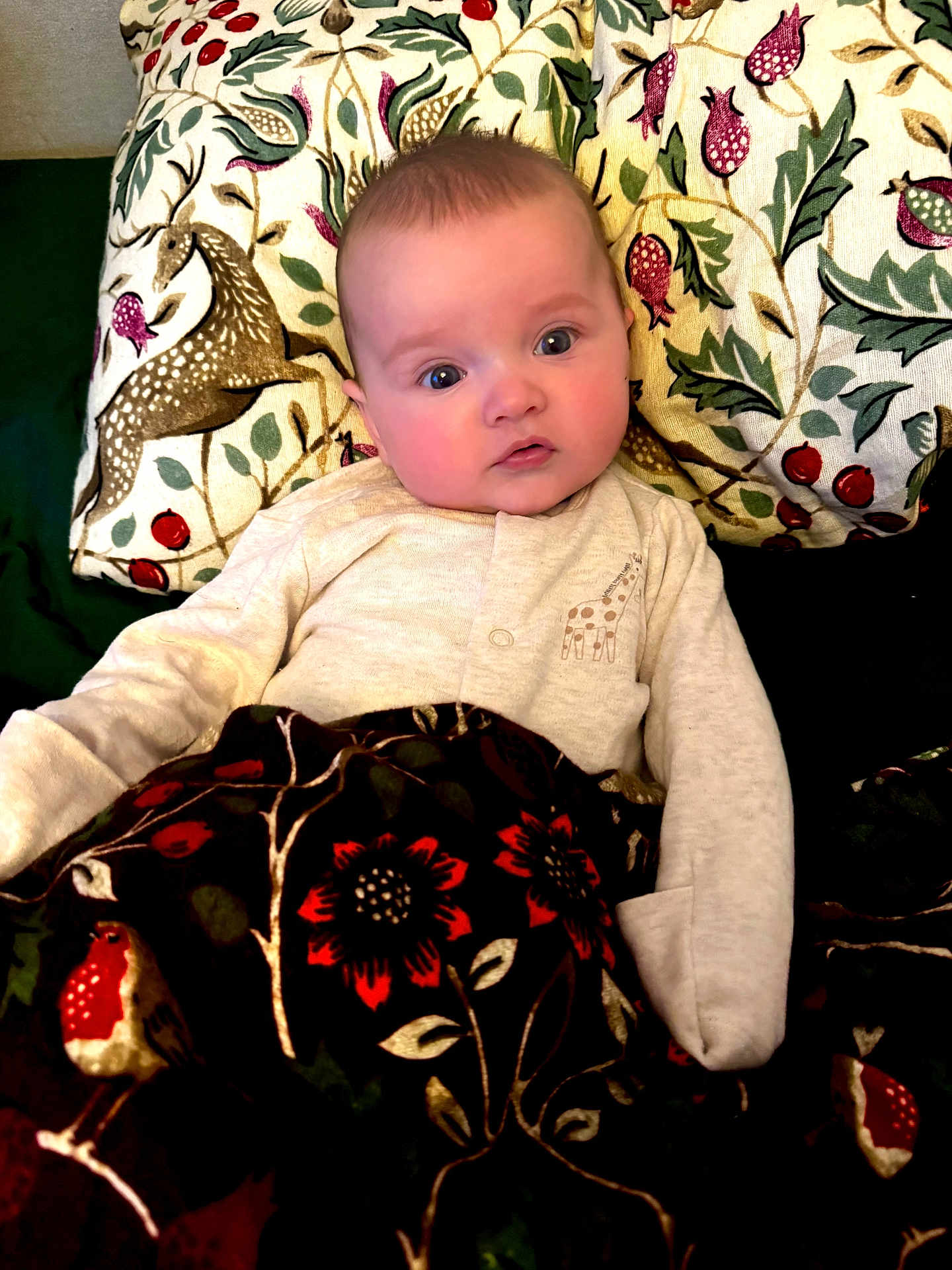 Daisy joined the competition — help win amazing prizes! baby, infant, pajamas, blanket, cushion, patterned_fabric, deer, pomegranate, bird, flower, face, eyes, person, indoors, cozy, soft_lighting, portrait, cute, child, expression