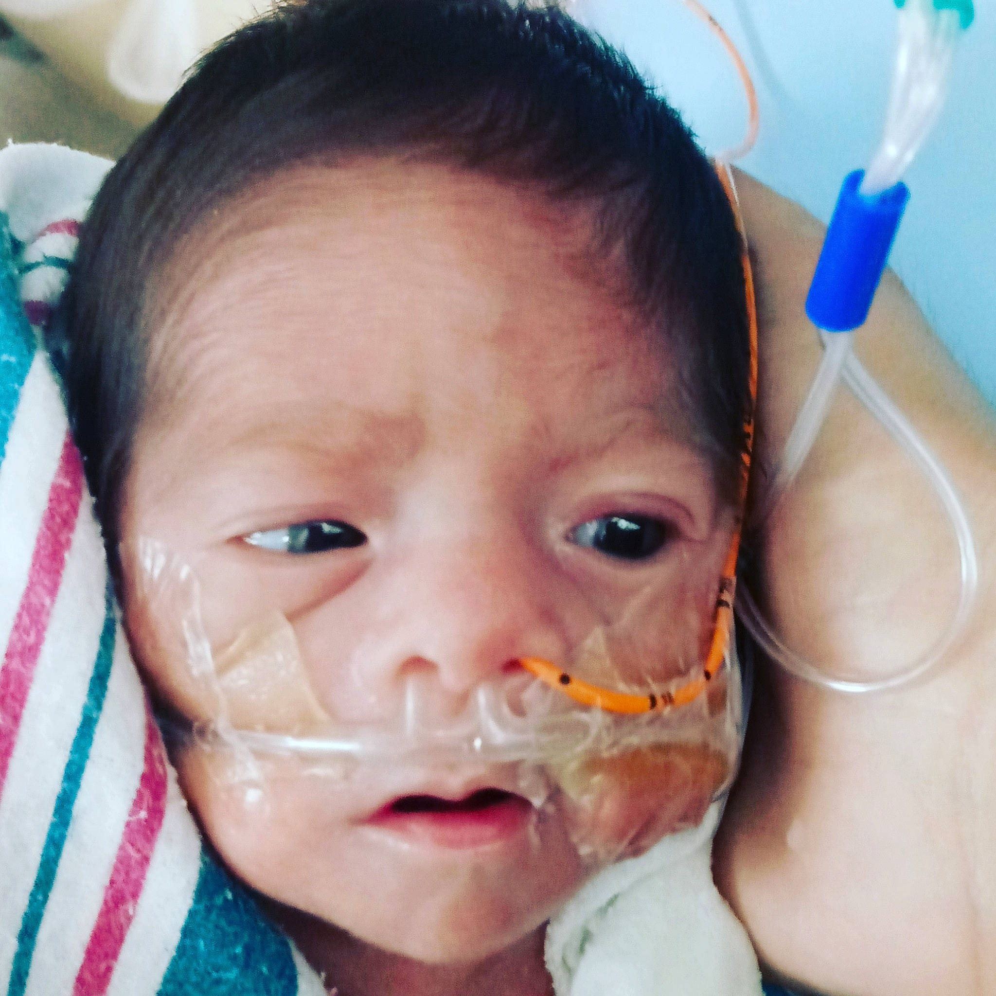 Oriel Malik is registered to the contest to win money with this photo: baby, cheek, child, cool, ear, eyebrow, eyelash, finger, forehead, hairstyle, happy, iris, jaw, lip, mouth, neck, nose, person, skin, throat