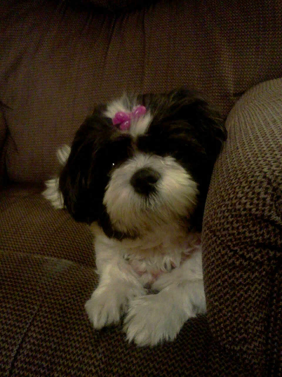 Sassy