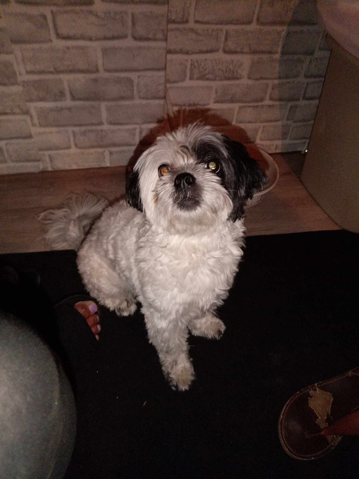 Molly