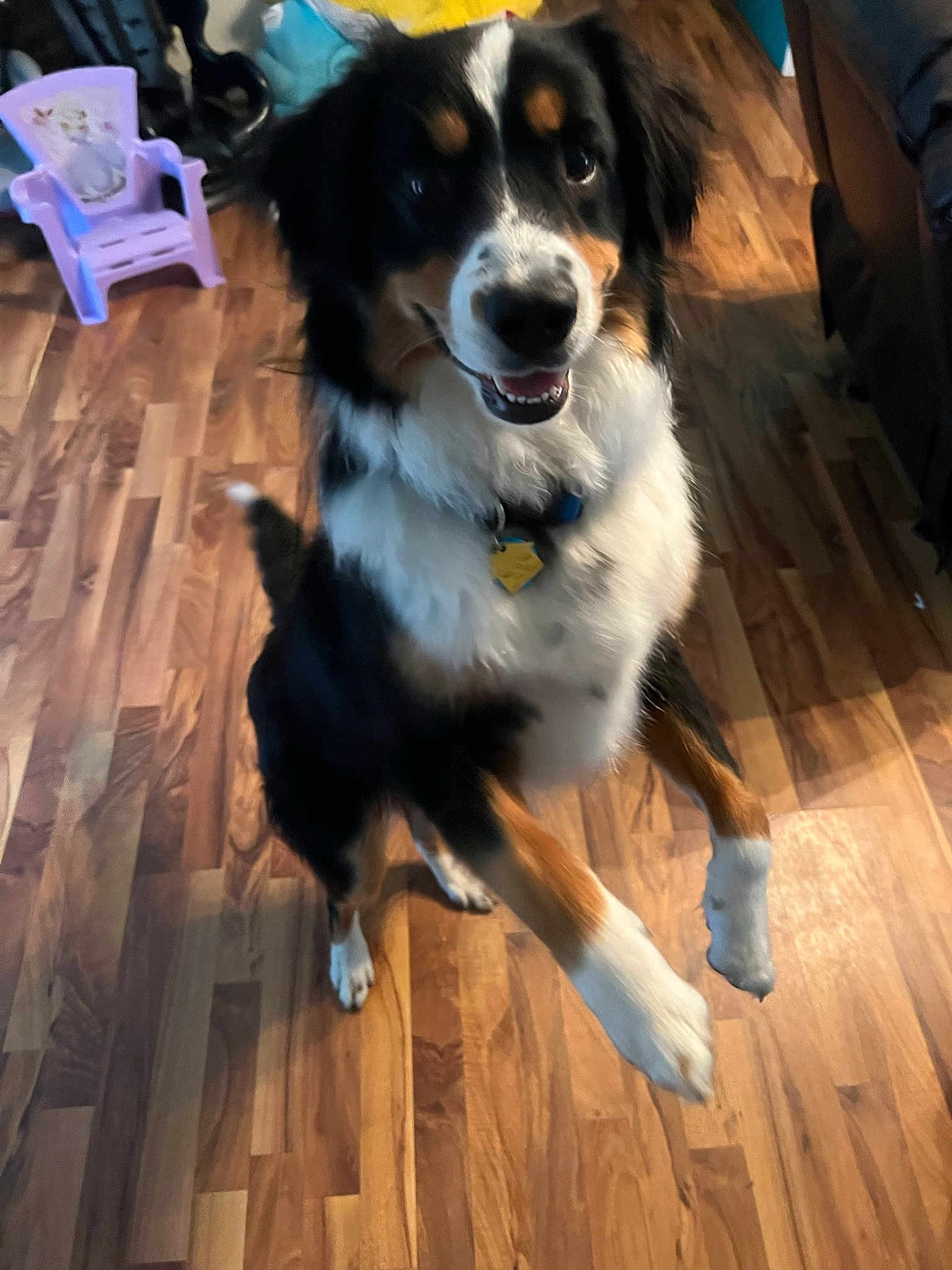 Jake