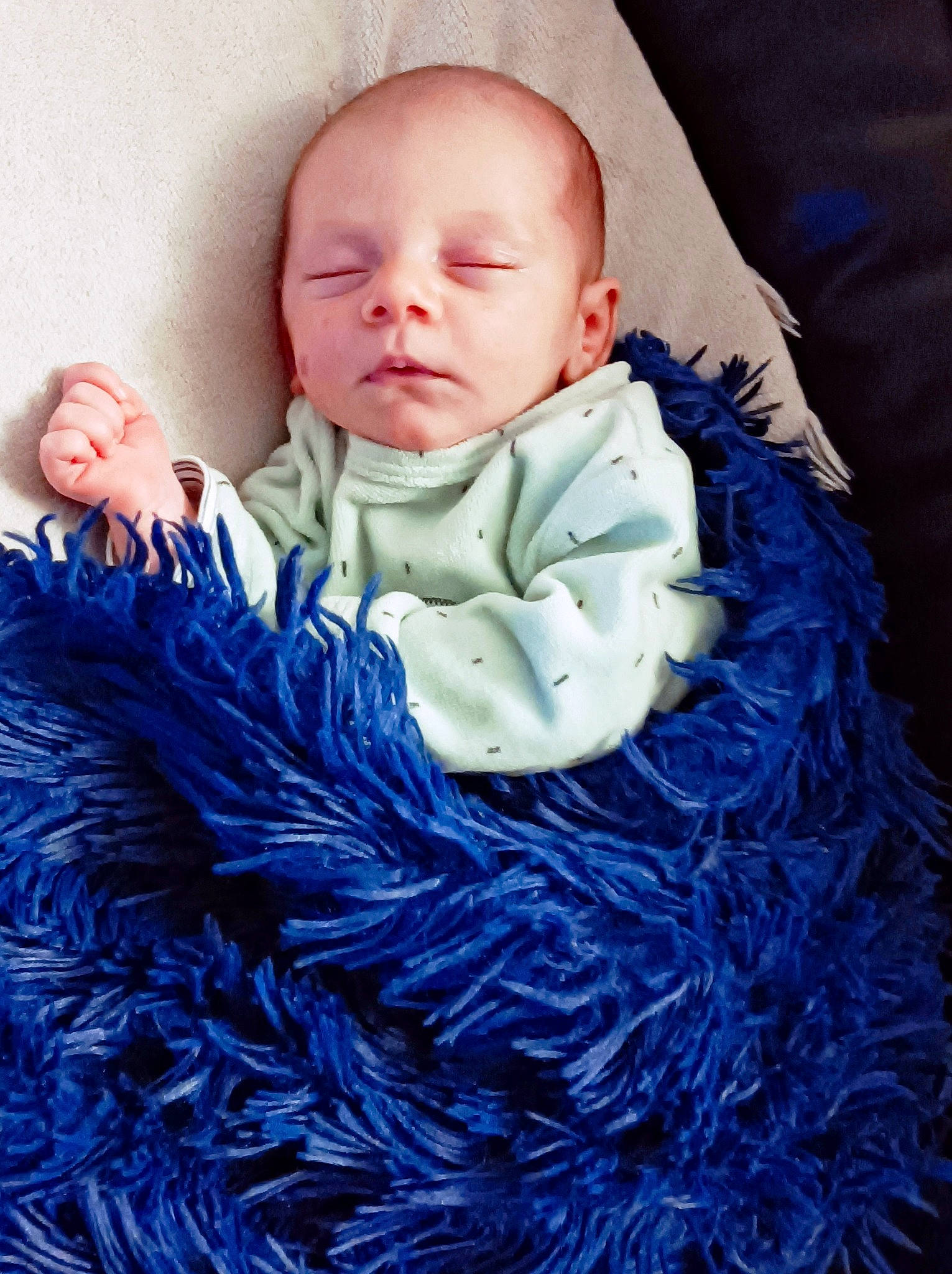 Roxanne a rejoint le concours — aidez-le/la à gagner de superbes lots ! azure, baby, baby_sleeping, baby_toddler_clothing, bedding, child, comfort, electric_blue, fashion_accessory, fur, iris, linens, magenta, outerwear, person, purple, sitting, sleeve, textile, toddler