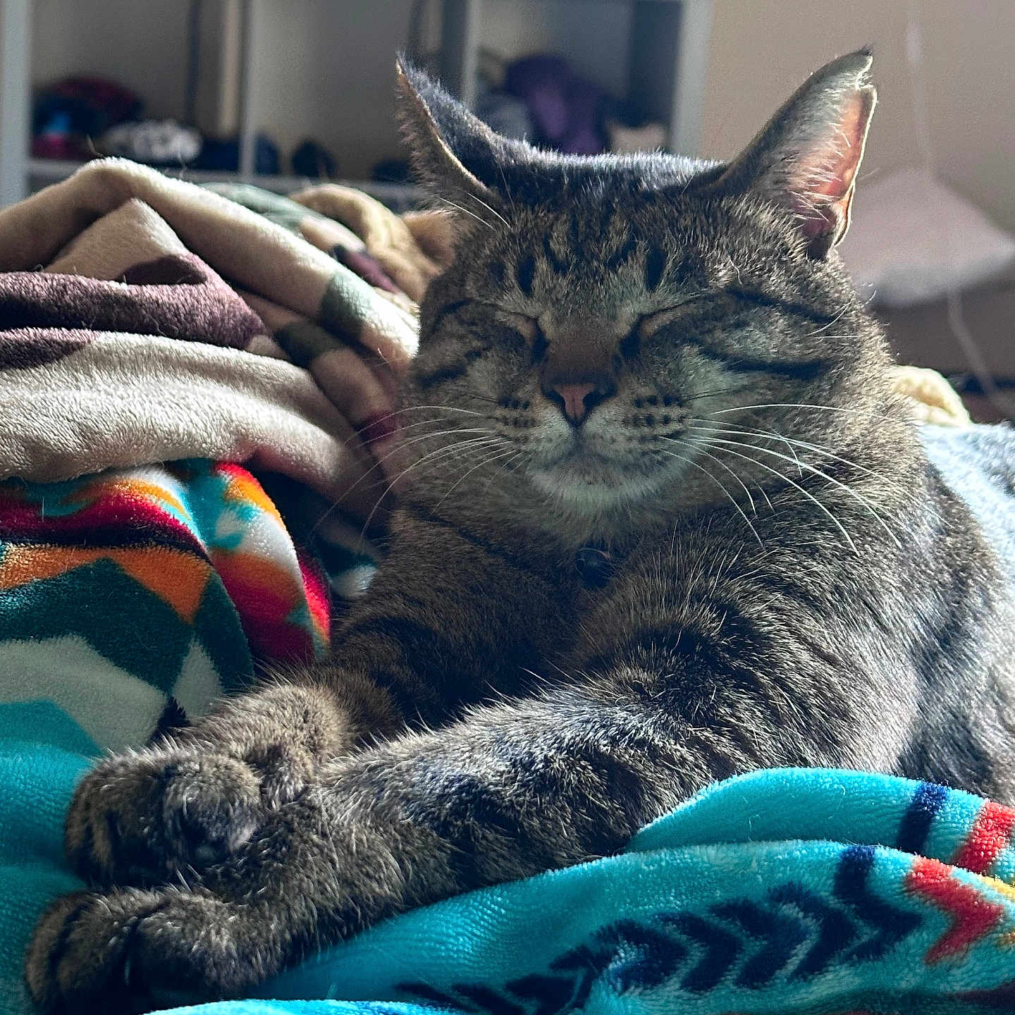 Pebbles