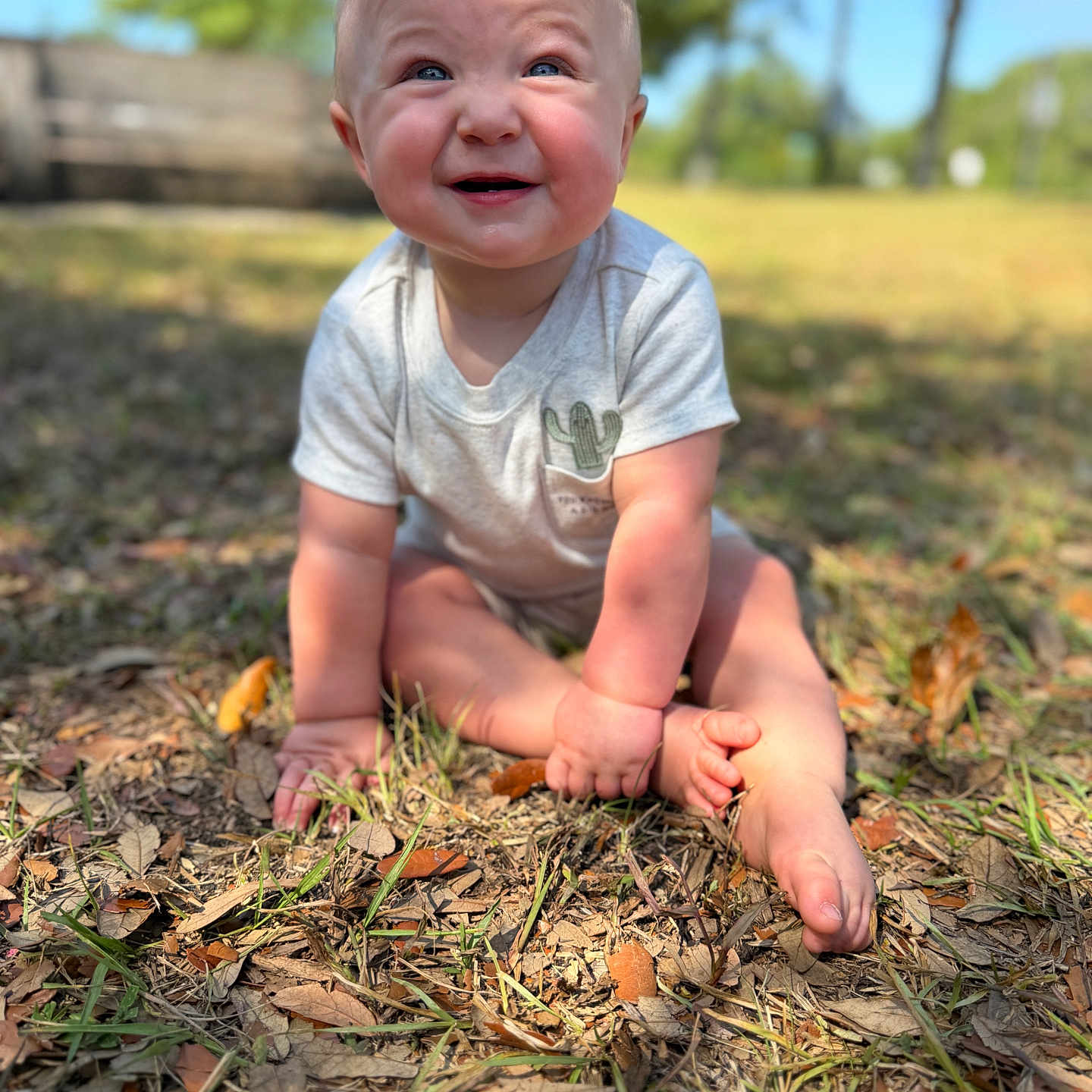 Caspian is registered to the contest to win money with this photo: baby, child, smiling, outdoor, grass, leaves, sunlight, nature, blue_sky, trees, happy, sitting, cute, cactus_print, clothing, barefoot, face, portrait, daylight, infant