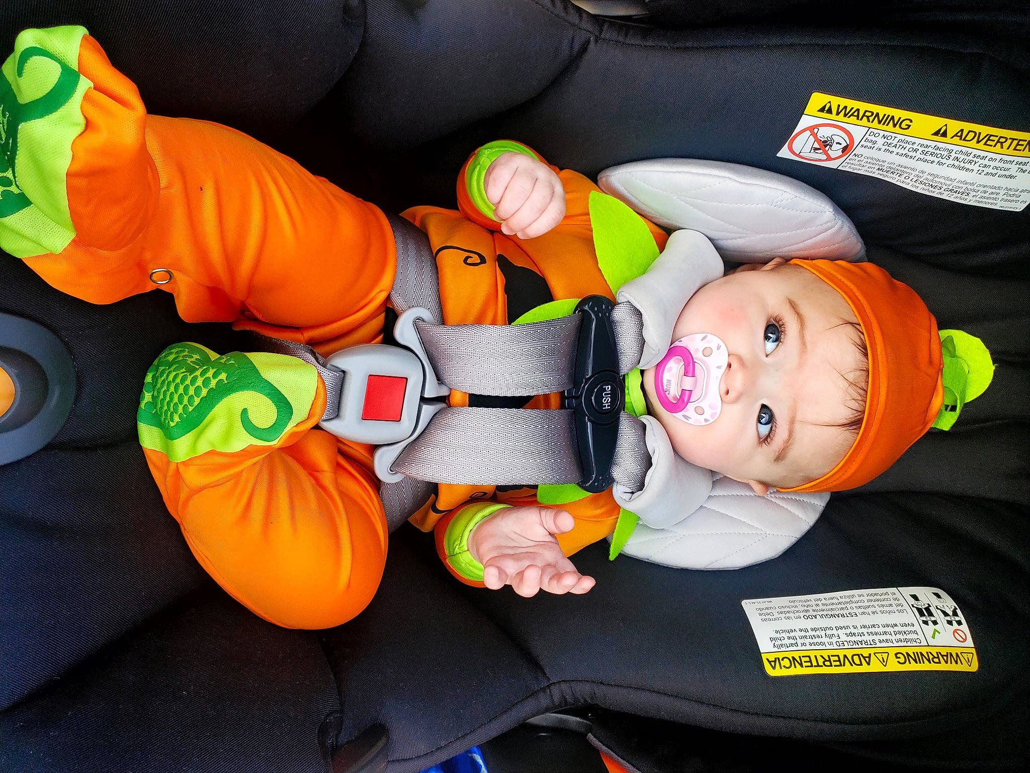 Violette joined the competition — help win amazing prizes! baby, baby_products, baby_safety, baby_toddler_clothing, baby_toys, calabaza, car_seat, child, comfort, cucurbita, fun, gourd, headwear, orange, person, personal_protective_equipment, pumpkin, smile, stuffed_toy, toddler