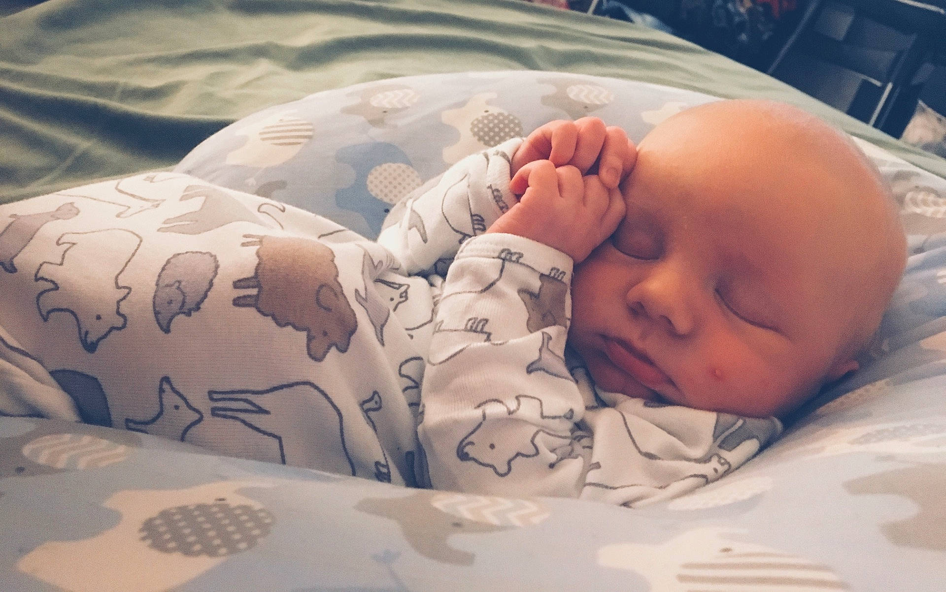 Kitt joined the competition — help win amazing prizes! bed, bedtime, child, finger, hand, infant, infant_bed, nap, person, product, sleep, toddler