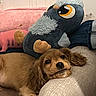 blanket, brown, couch, cozy, cute, dog, ears, fur, home, indoor, jeans, nose, owl, pet, plush_toy, puppy, relaxation, resting, soft, stuffed_animal