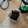 black_cat, cardboard_box, bubble_wrap, wooden_floor, vacuum_cleaner, rolling_cart, indoor, pet, animal, curious, flooring, small_box, cat_eyes, cat_face, domestic_cat, household_item, cleaning_equipment, storage_cart, home, sitting
