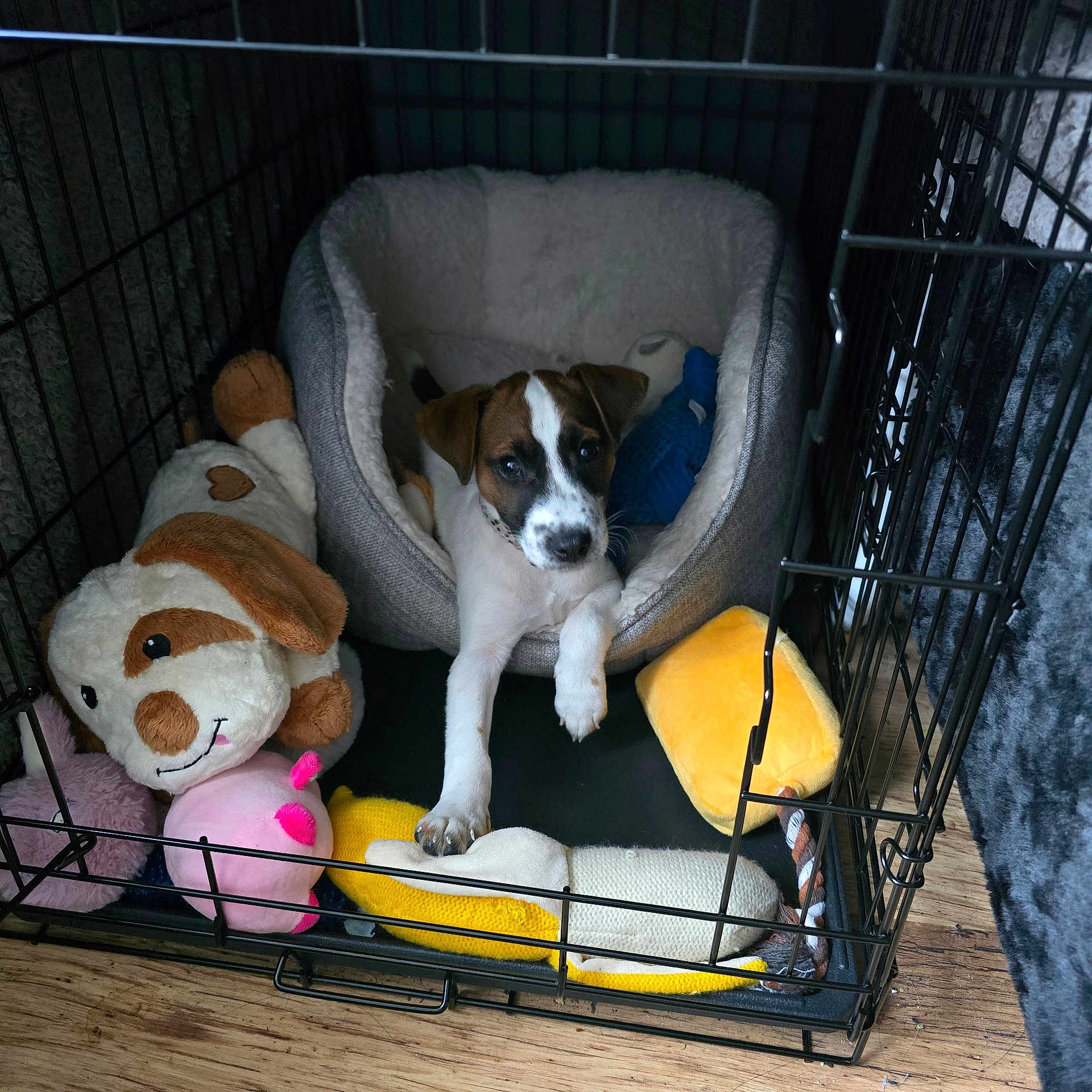 Milo