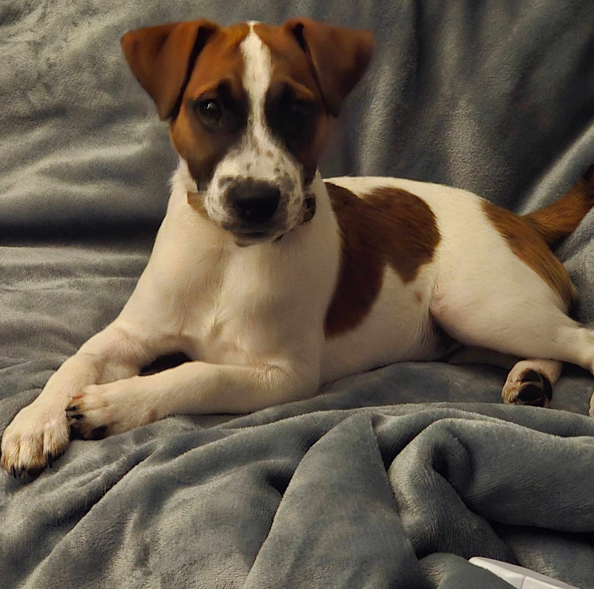 Milo