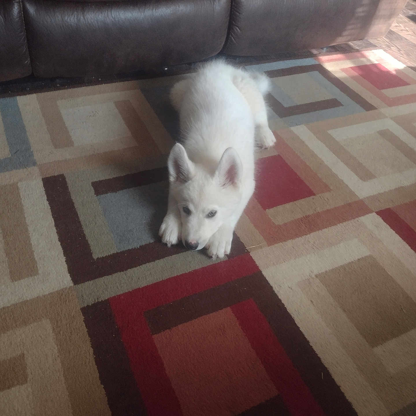 Luka